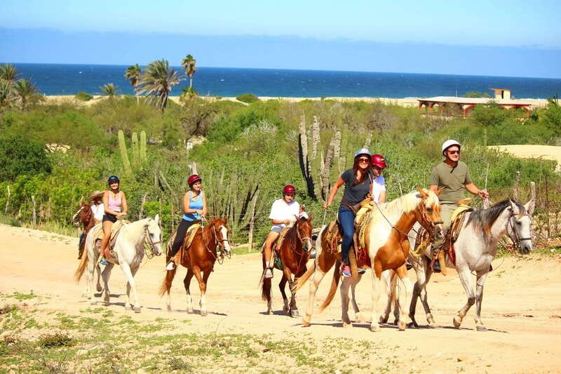 Cabo San Lucas: Horseback Riding in Migriño with Transfers - Why a Migriño horseback ride feels like the real Cabo Pacific