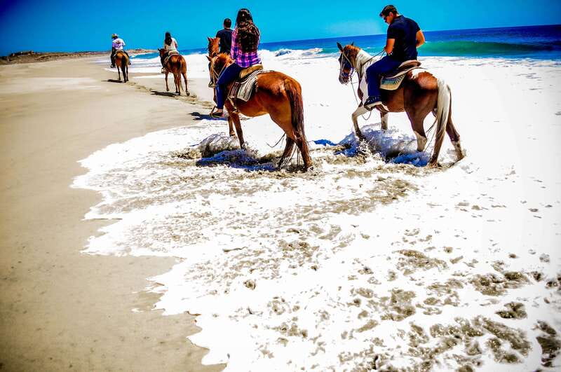 Cabo San Lucas: Horseback Riding in Migriño with Transfers - Transfers and timing: how the van ride shapes the day