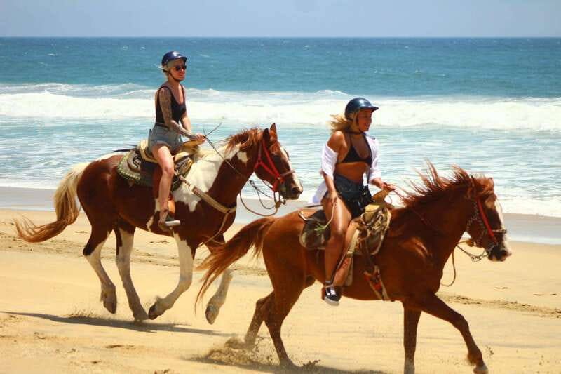 Cabo San Lucas: Horseback Riding in Migriño with Transfers - Flora, fauna, and that big seashore viewpoint (including gray whales in season)