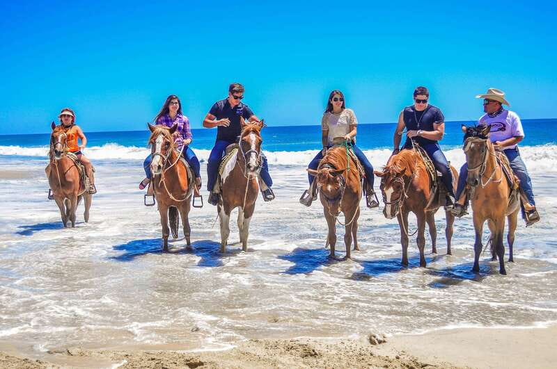 Cabo San Lucas: Horseback Riding in Migriño with Transfers - Tequila tasting, photos, and what you might pay after the ride