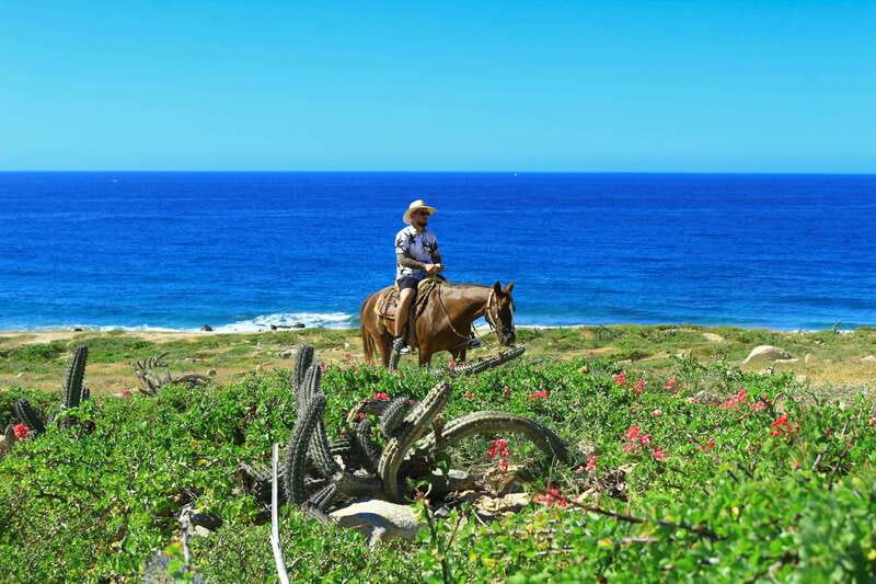 Cabo San Lucas: Horseback Riding in Migriño with Transfers - FAQ