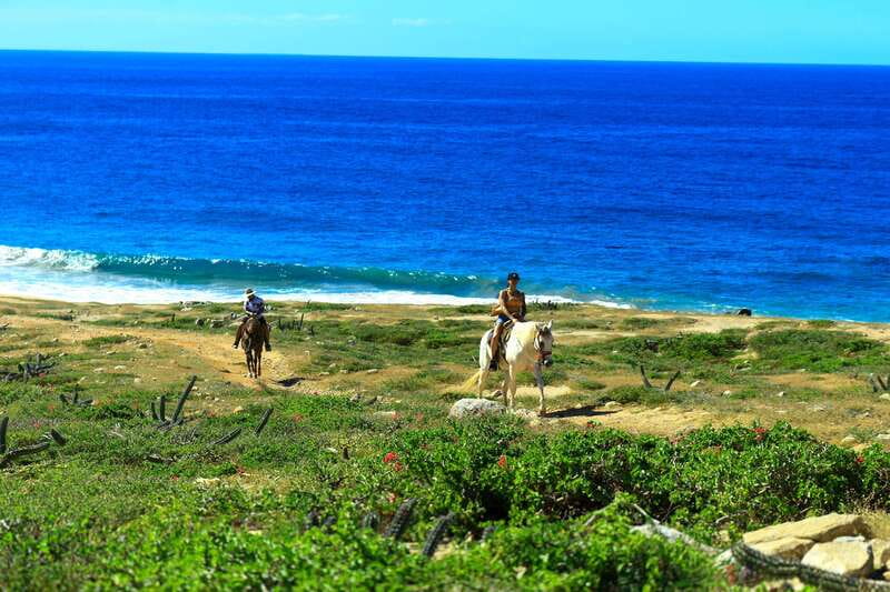 Cabo San Lucas: Horseback Riding in Migriño with Transfers - The 2-hour ride: desert trails, rocky paths, and a real beach stretch