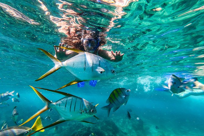 Cabo San Lucas Shopping, Tequila Tasting, and Snorkel Tour - First stop for photos: El Arco de Cabo San Lucas