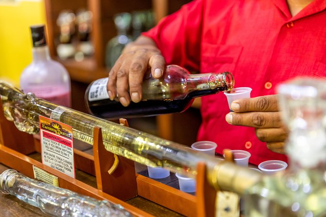 Cabo San Lucas Shopping, Tequila Tasting, and Snorkel Tour - Tequila tasting at Hacienda Tequila: how to make it worthwhile