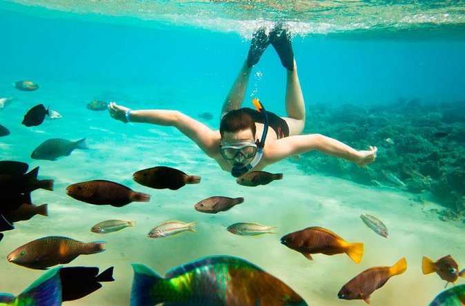 Cabo San Lucas Shopping, Tequila Tasting, and Snorkel Tour - The catamaran cruise: Santa Maria or Chileno Bay
