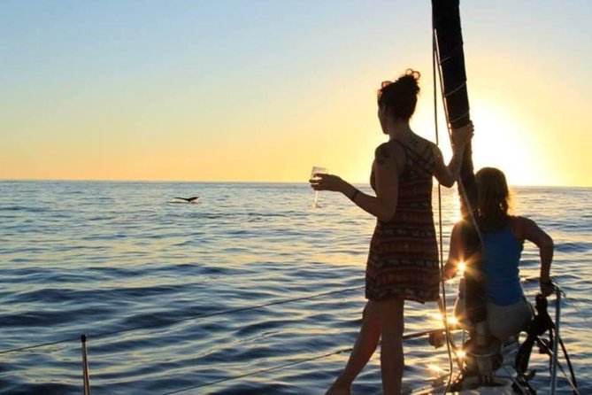 Cabo San Lucas Sunset Sailing Shared Cruise - Sailing vs Motoring: What Wind Means for Your Experience