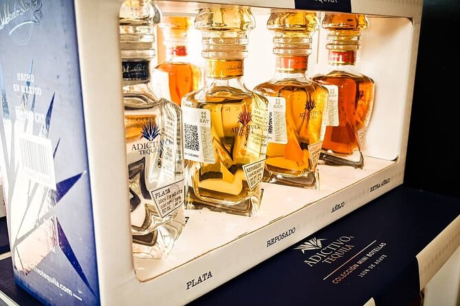 Cabo San Lucas Tequila Tasting Experience - Snack Pairings That Actually Work: Agave Heart, Chocolate, and More