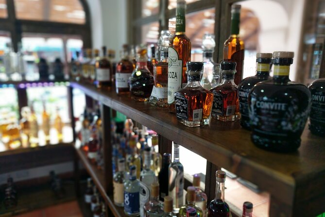 Cabo San Lucas Tequila Tasting Experience - Pace, Format, and Group Size: Why Private Feels Better Here