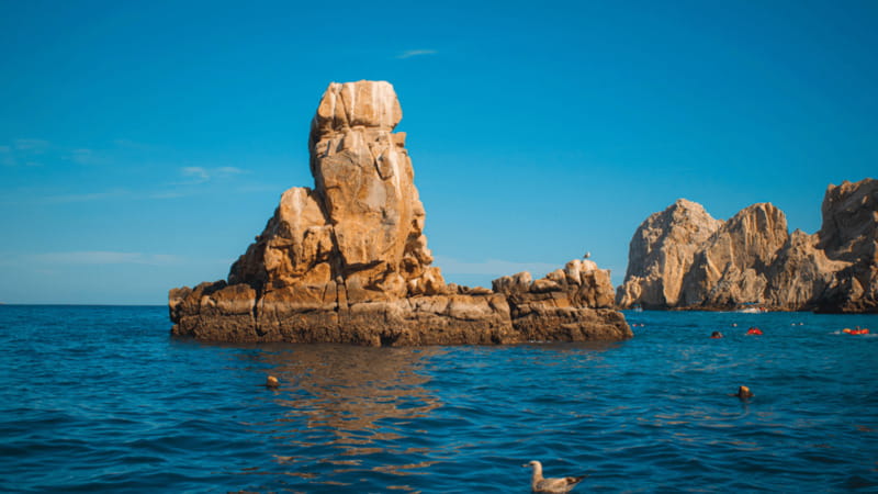 Cabo San Lucas: Tour paseo al Arco + bajada en playa - From Pochos Cabos Activities to the dock, how the tour flows in an hour