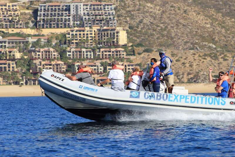 Cabo San Lucas: Up-Close Whale Watching Small-Group Tour - Key highlights you’ll care about