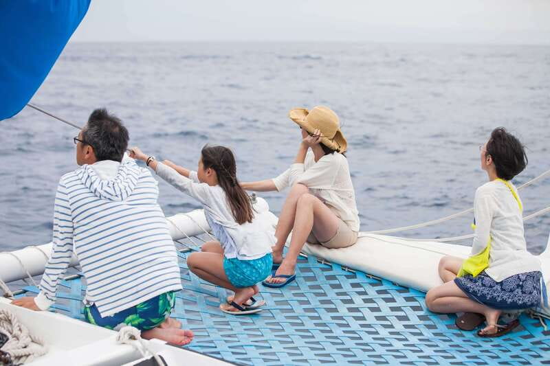 Cabo San Lucas: Whale Watching Catamaran Experience - Should you book it? My take for planning your Cabo trip