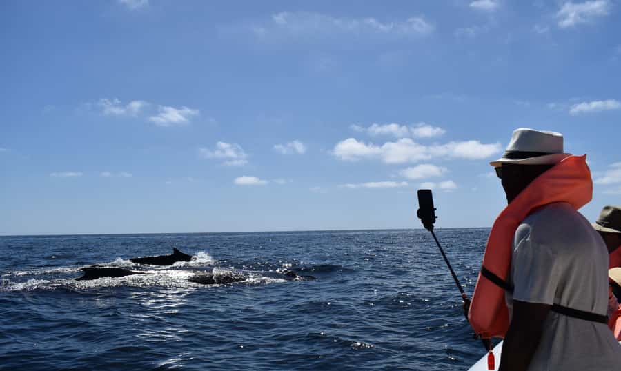 Cabo: Whale-Whatching Boat Trip w/ All-Women Crew and Photos - Photo coverage: less stress, more watching