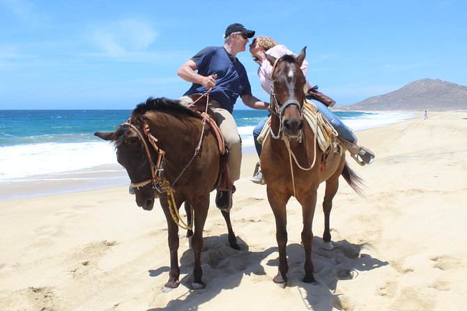 Cabo White Sand Horseback Riding Tour and Tequila Tasting - Cabo on Horseback: What You’re Really Signing Up For