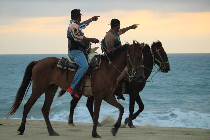 Cabo White Sand Horseback Riding Tour and Tequila Tasting - The Pickup Van: Front-Door Convenience and a Few Road Realities