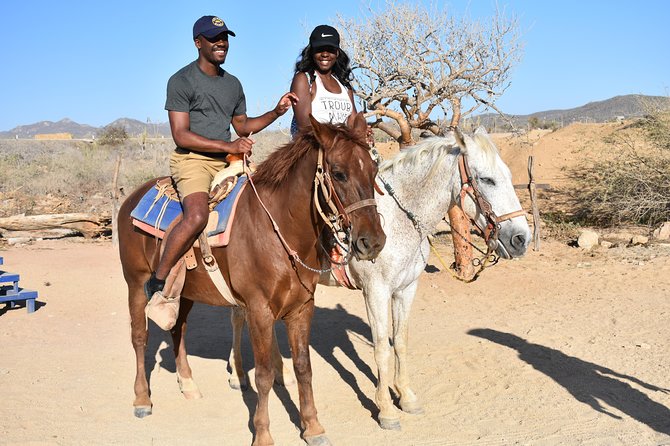 Cabo White Sand Horseback Riding Tour and Tequila Tasting - Beach Time: Secluded Ocean Views and Wildlife Chances