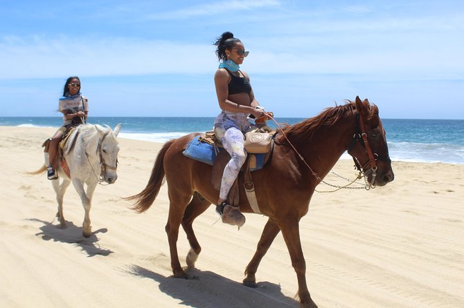 Cabo White Sand Horseback Riding Tour and Tequila Tasting - Riding Comfort: Matching Horses and Working at Your Pace