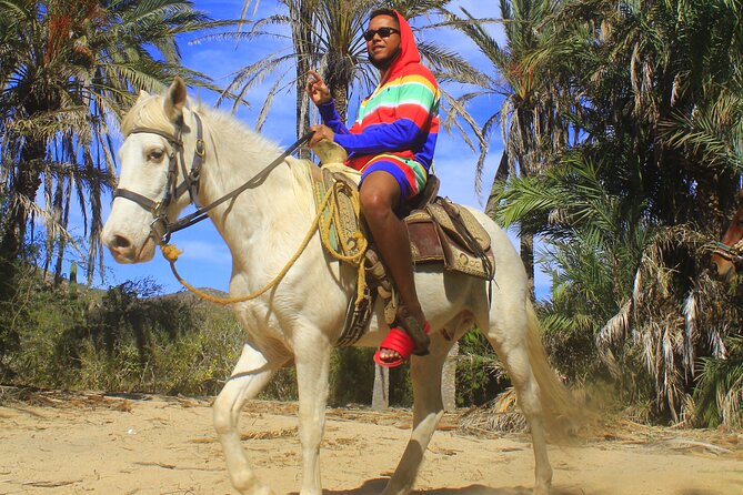 Cabo White Sand Horseback Riding Tour and Tequila Tasting - Safety Gear and Water: The Practical Pieces That Make It Easier