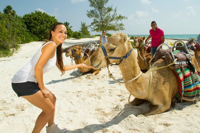 Camel Expedition and Beach Club In Riviera Maya - The 45-minute camel ride: jungle paths and white-sand dunes