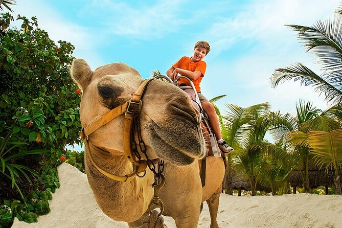 Camel Expedition and Beach Club In Riviera Maya - Value check: what you get for $144, and what can push the real cost up