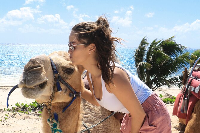 Camel Expedition and Beach Club In Riviera Maya - Who this camel expedition suits best