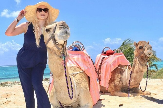 Camel Expedition and Beach Club In Riviera Maya - Before you ride: safety briefing and gear, with zero guesswork