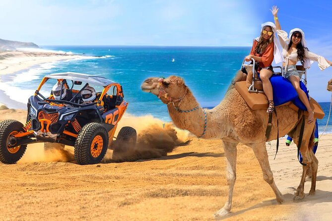Camel Ride and UTV Combo Adventure, with Tequila Tasting - Camel, UTV, Tequila: The Cabo Triangle of Fun