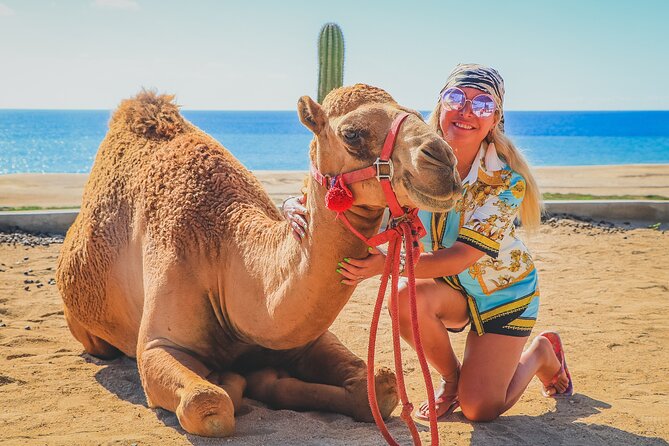 Camel Ride and UTV Combo Adventure, with Tequila Tasting - Baja Desert UTV or Side-by-Side Run to Dunes and Ocean Cliffs
