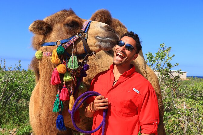 Camel Ride and UTV Combo Adventure, with Tequila Tasting - Tequila Tasting at the Finish: What You Actually Get in 20 Minutes