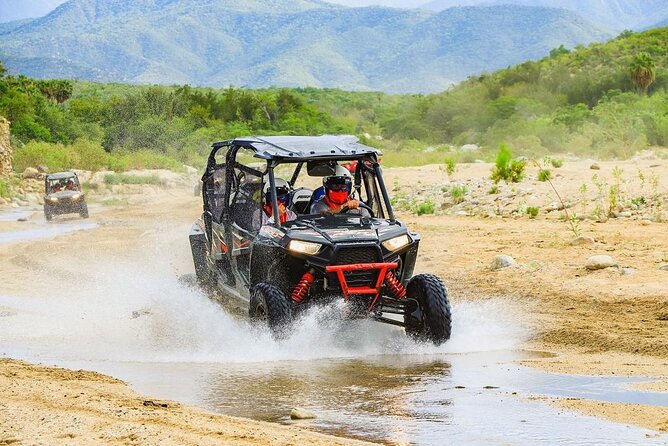 Camel Ride and UTV Combo Adventure, with Tequila Tasting - The Real Cost of This Tour: $108 Base Price Plus On-Site Fees