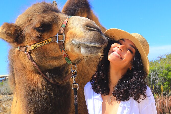Camel Ride and UTV Combo Adventure, with Tequila Tasting - Playa Migriño Camel Ride: White Dunes, Pacific Views, and Photo Rules