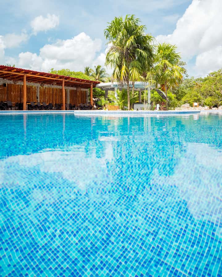 Cancun: Cenotes El Retoño entrance with transport, food, and guided tour. - Price and Value: What $63 Buys in a Full 6.5-Hour Day