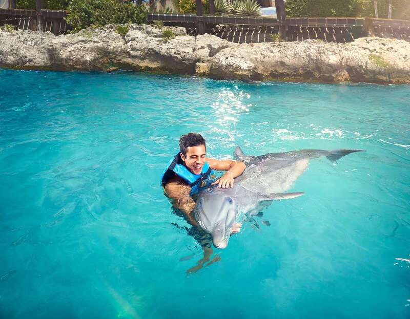 Cancún: Dolphin Encounter on Isla Mujeres with Buffet - How the Cancún to Isla Mujeres Ferry Day Fits Your Schedule