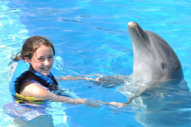 Cancún: Dolphin Encounter on Isla Mujeres with Buffet - Your Dolphin Encounter From a Standing Underwater Platform