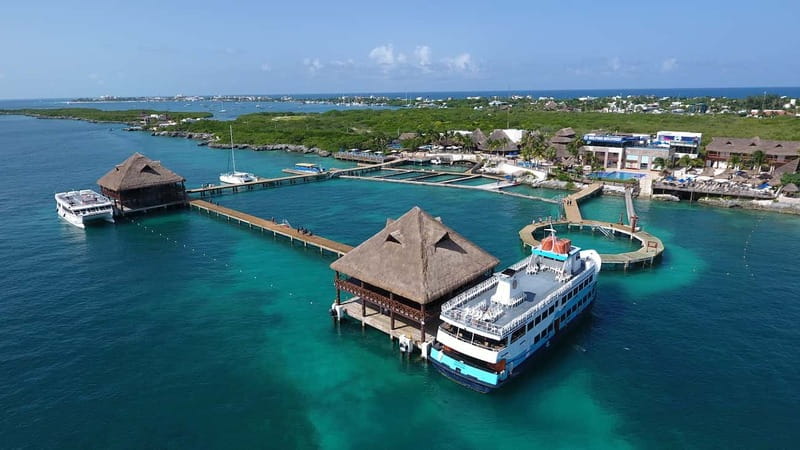 Cancún: Dolphin Encounter on Isla Mujeres with Buffet - Price and Value: What $95 Buys, and What Costs Extra