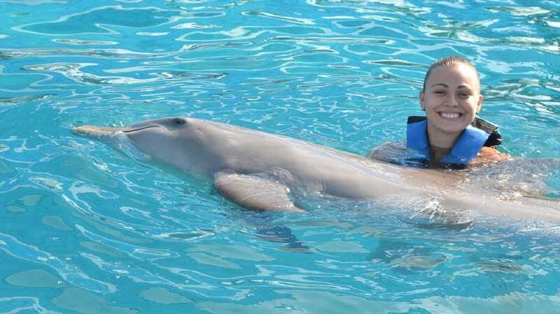 Cancún: Dolphin Encounter on Isla Mujeres with Buffet - What to Bring (So You Do Not Lose Time or Money)