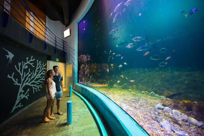 Cancún: Interactive Aquarium Admission - Touch tanks with rays, starfish, and urchins