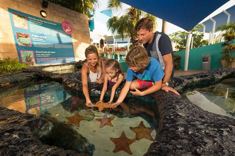 Cancún: Interactive Aquarium Admission - Dolphins and corals: the on-display habitats, with one caveat