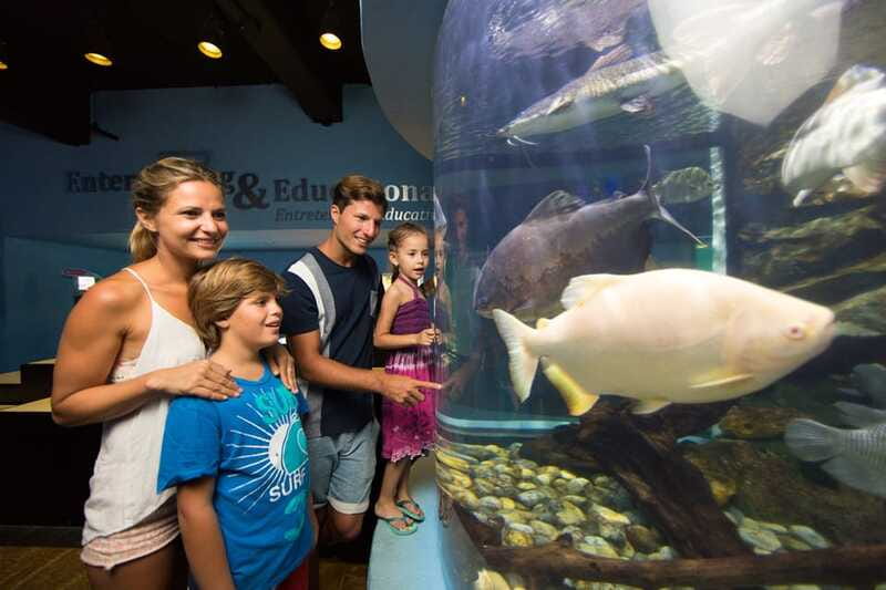 Cancún: Interactive Aquarium Admission - Axolotl exhibit and the iPad zone: extra value without extra ticketing