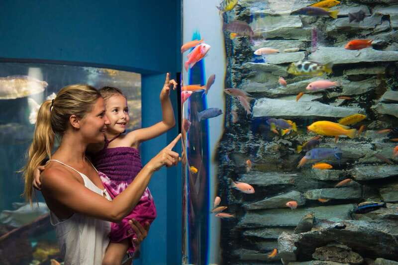 Cancún: Interactive Aquarium Admission - Timing and pace: a quick visit that fits real days