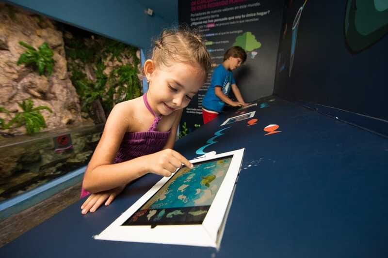 Cancún: Interactive Aquarium Admission - Price and value: is $17 worth it?
