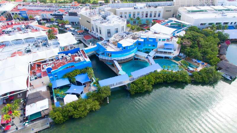 Cancún Interactive Aquarium Admission + Dolphin Presentation - Key things I think are worth your attention
