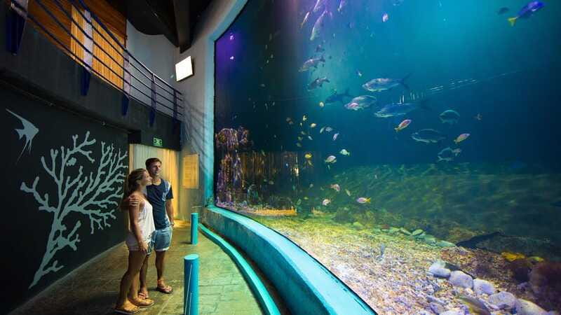 Cancún Interactive Aquarium Admission + Dolphin Presentation - Sea lions, dolphins, and the dolphin presentation at 7:00 pm