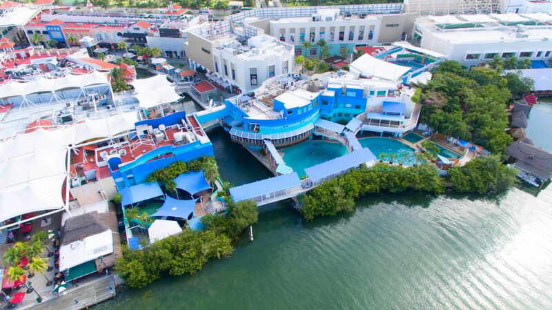 Cancún Interactive Aquarium Admission + Dolphin Presentation - Value check: $26 per person and what makes it worth it