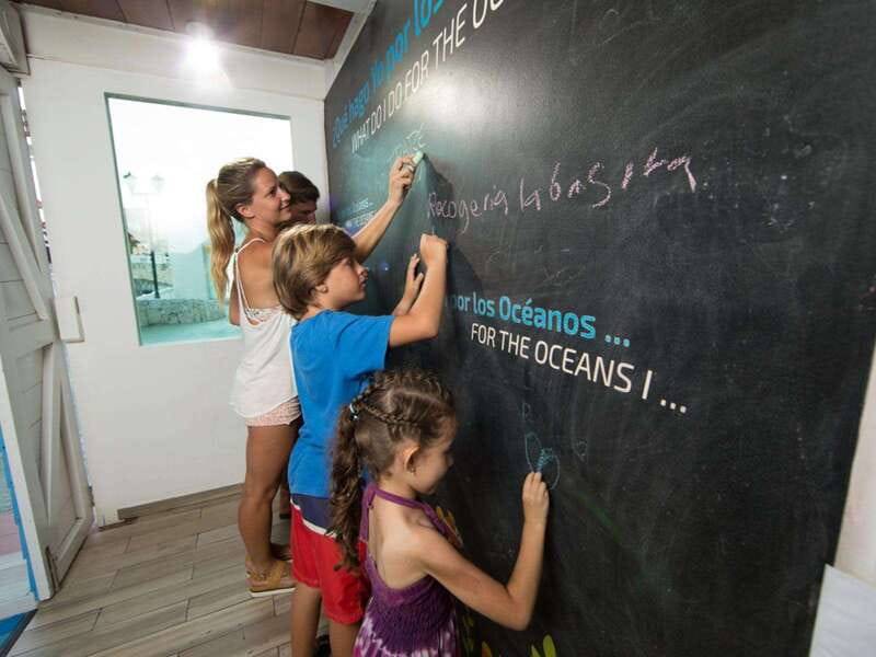 Cancún Interactive Aquarium Admission + Dolphin Presentation - What’s not included, so you can avoid surprises