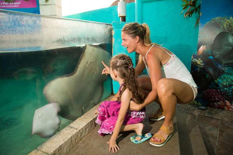 Cancún: Interactive Aquarium Admission - What you actually see: 1,195 specimens and 140+ species