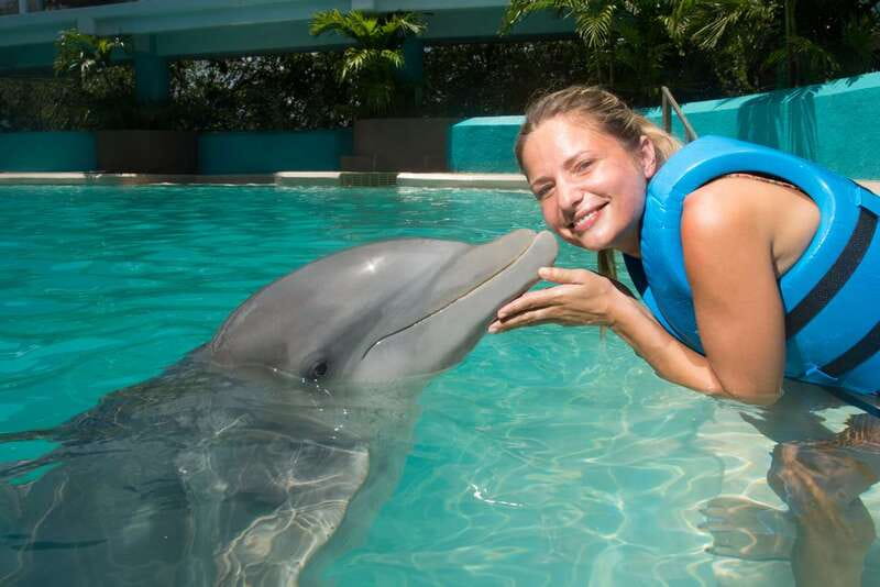 Cancun: Interactive Aquarium - Swim with Dolphins Splash - Why This Interactive Dolphin Swim Feels Different in Cancun