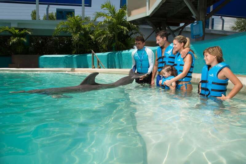 Cancun: Interactive Aquarium - Swim with Dolphins Splash - The Aquarium Admission and Dolphin Presentation, What You Get Before the Swim