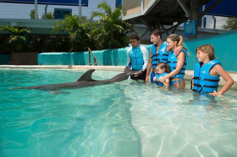 Cancun: Interactive Aquarium - Swim with Dolphins Splash - Price and Logistics, Including the $50 MXN Aquatic Animal Tax