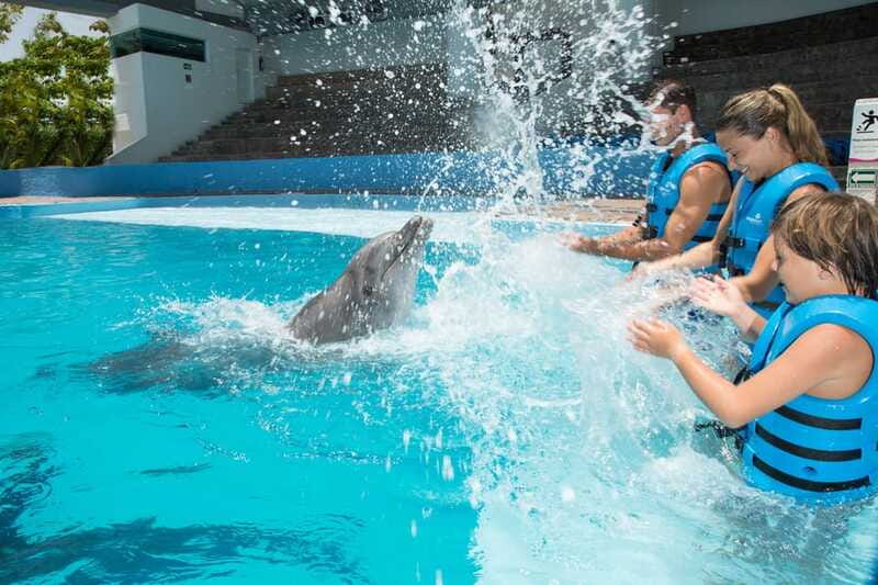 Cancun: Interactive Aquarium - Swim with Dolphins Splash - Who This Dolphin Program Fits Best in Your Trip