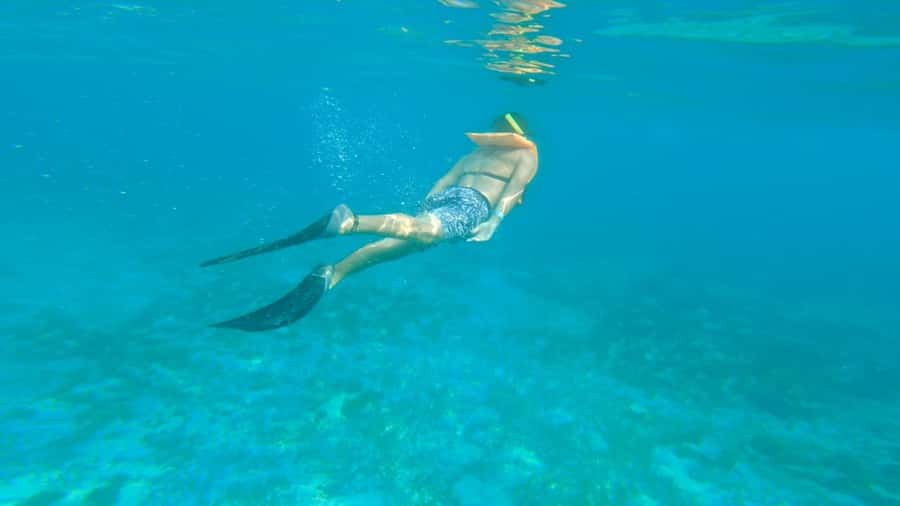 Cancun: Isla Mujeres Full Day Dancer Cruise - From Dock to Open Bar: How the Day Flows